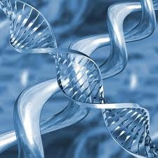 Cooperazione giudiziaria. Banca dati del DNA: è questione di ...