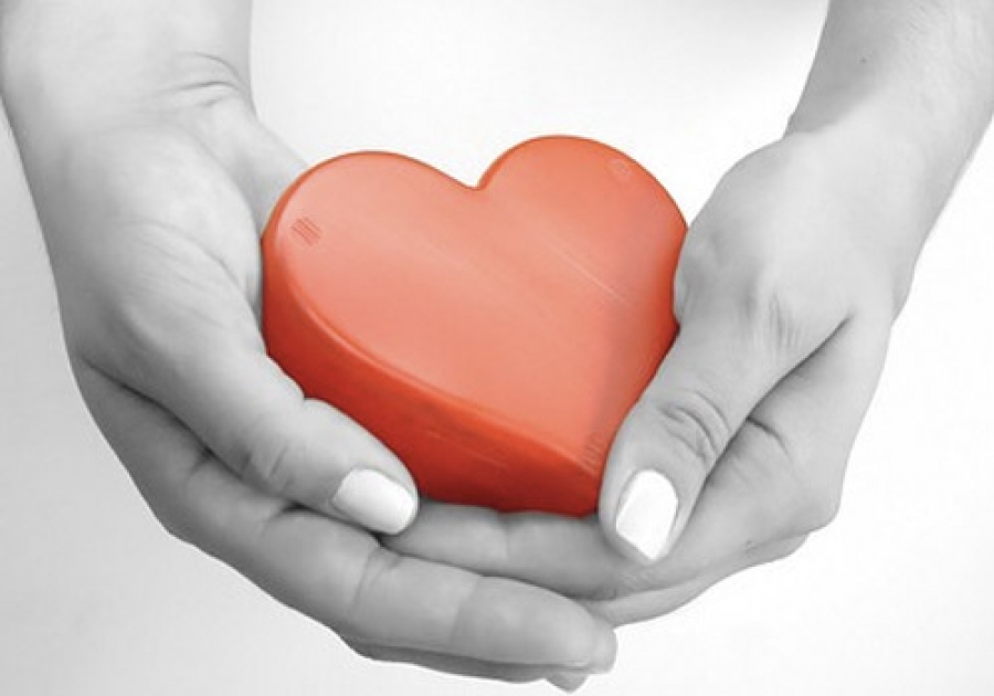 In una donazione con onere modale, il vincolo imposto sull’im...