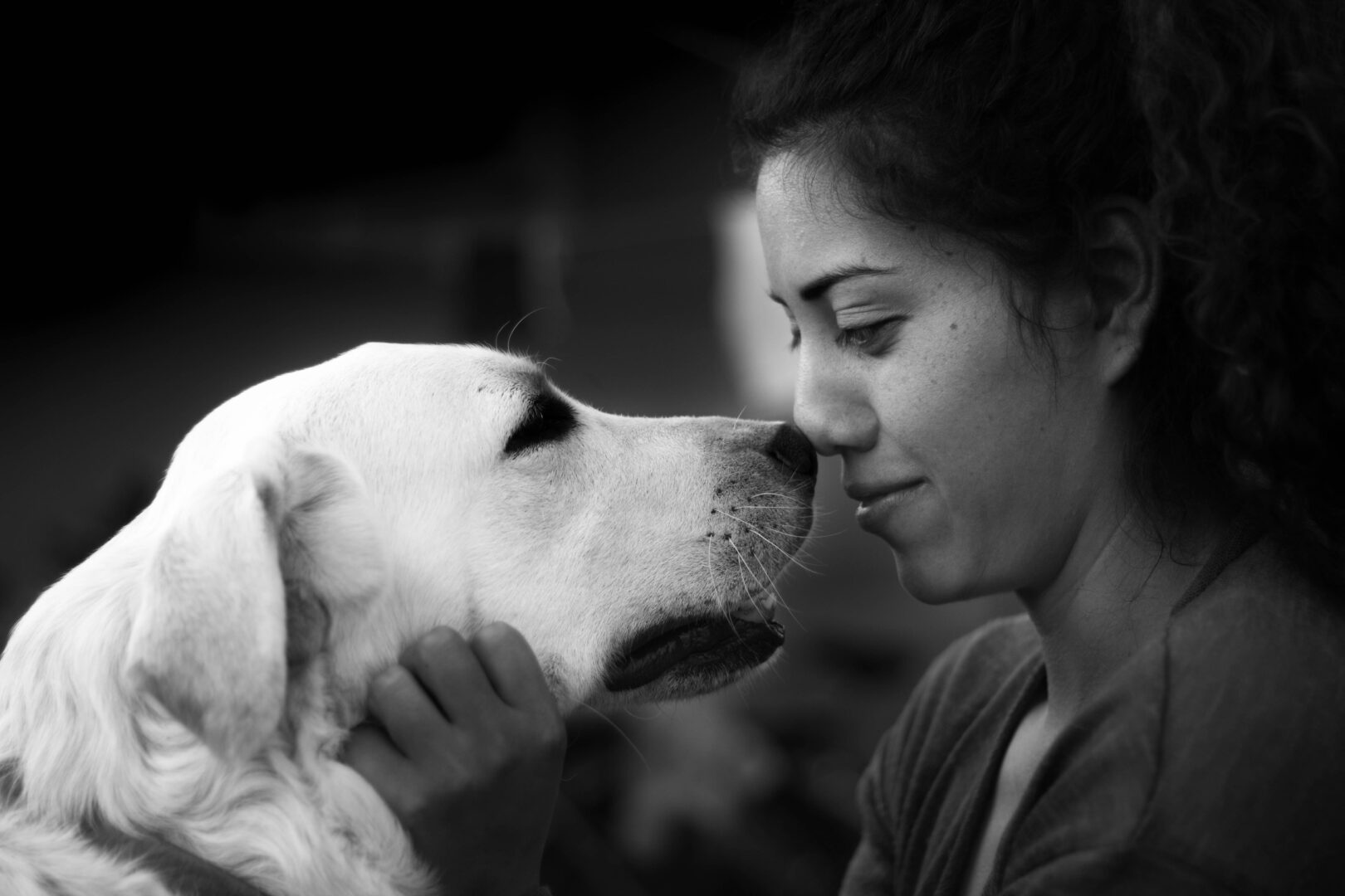 «La perdita dell’animale può determinare la lesione di un interesse della person...