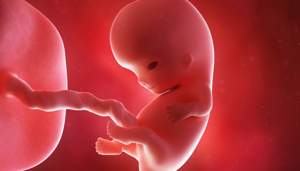 Danno non patrimoniale: perdita del rapporto parentale - La m...