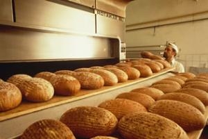 Il panificio fa rumore: per ravvisarsi la violazione dell'art...
