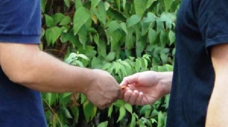 Consegna di stupefacenti a minori: sì ad aggravante anche se minore è mero intermediario