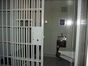 La depenalizzazione. Il testo.