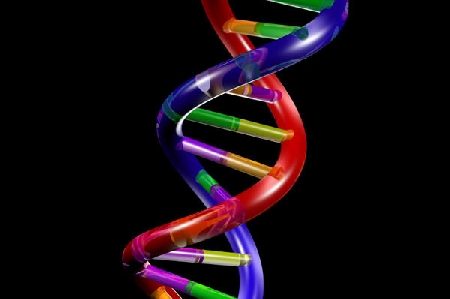 La Banca dati del DNA.