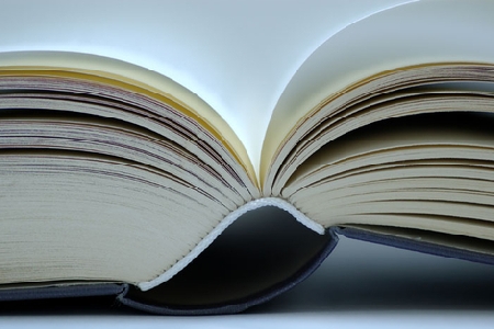 Scrivere in un libro di una relazione sentimentale lede la reputazione person...