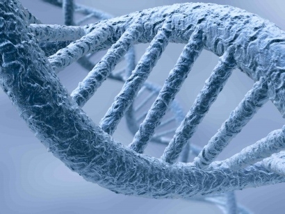 Banca dati DNA: in G.U. il decreto sulla cancellazione dei profili