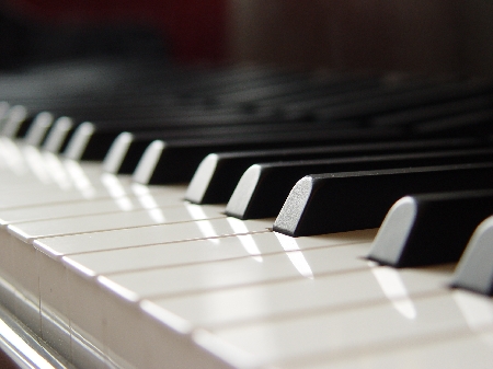Il PM chiede il sequestro probatorio del pianoforte: ha i tasti in avorio.