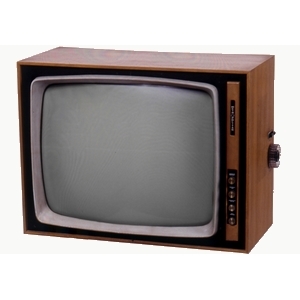 Dare della sciaquetta in televisione non è reato.