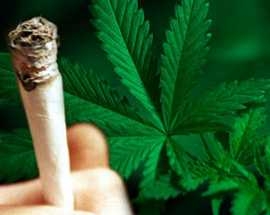 Mette ad essiccare la marijuana nel box di proprietà familiare: sono tutti punibili per la detenzione?