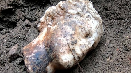 Calatafimi.  Esegue movimenti terra ed affiorano reperti archeologici nella zona B all'interno del Parco Archeologico di Segesta sottoposto a vincolo ex art. 142 d. lgs. 42/2004; lavori continuati, malgrado il divieto impostogli dalla Polizia Municipale, deturpando l'ambiente circostante e violando il regolamento del Parco.
