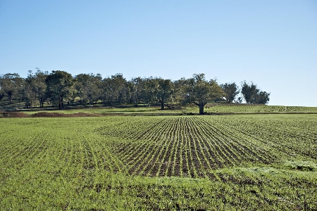 L'apparenza nella servitù e l'acquisto per usucapione....