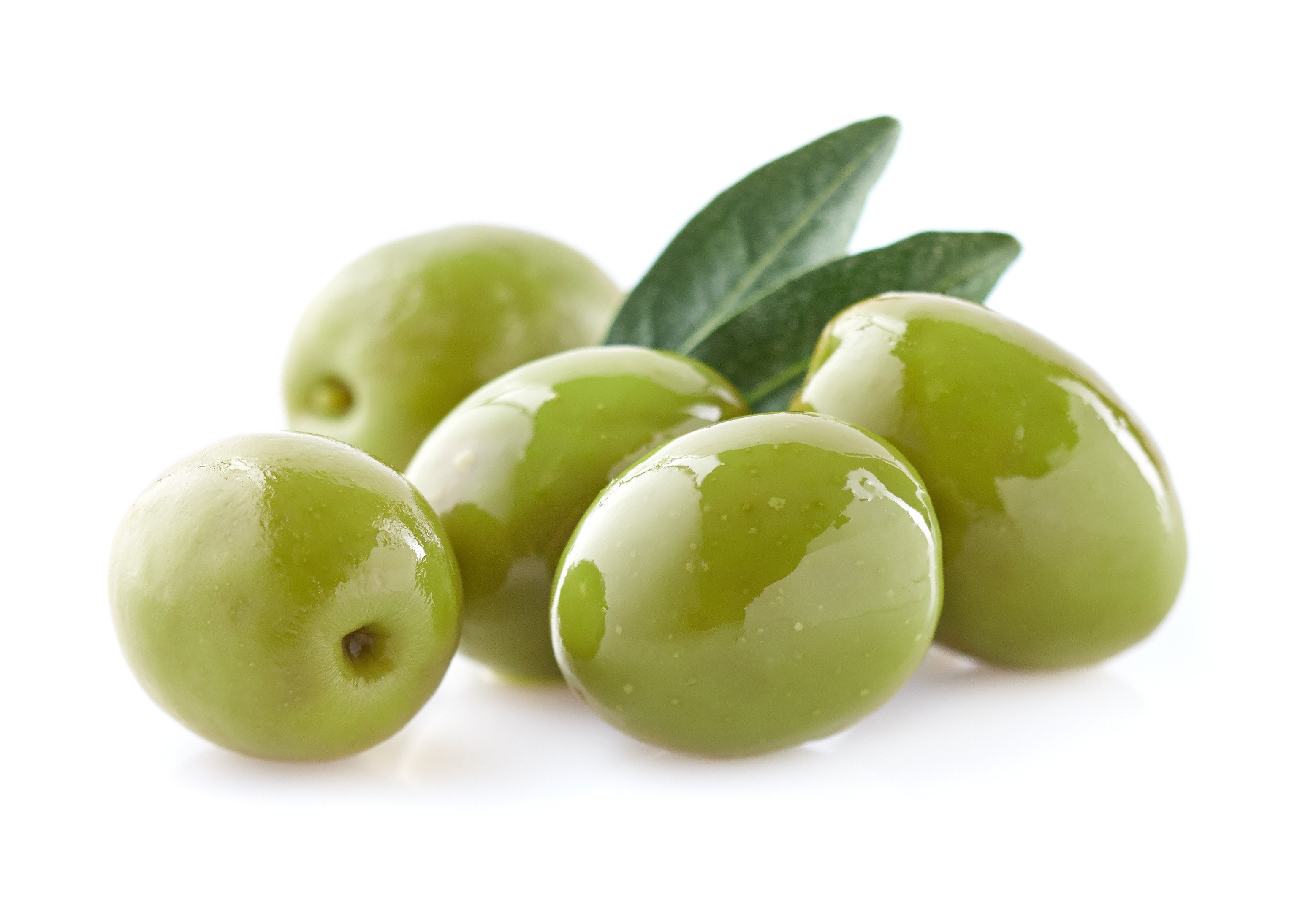 Ladri rubano in un fondo due quintali di olive ancora sulle piante e quelle presenti al suolo.