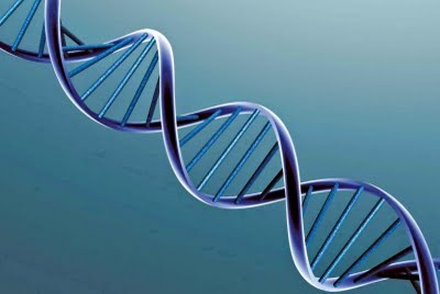 E' legittimo prelevare il DNA all'insaputa dell'interessato senza modalità coercitive?