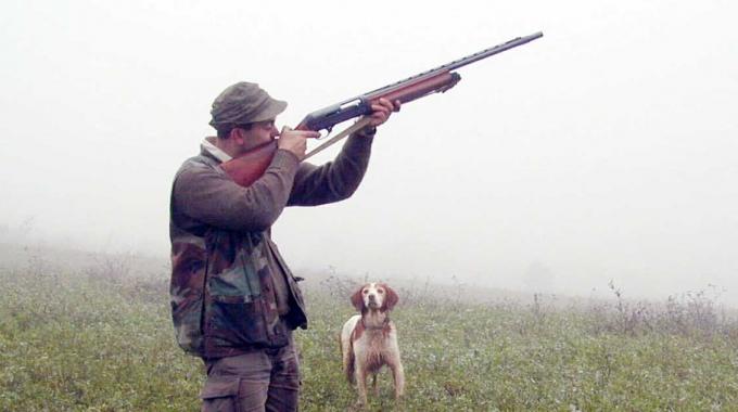 Le guardie zoofile dell'ENPA possono vigilare e accertare le violazioni in materia di caccia
