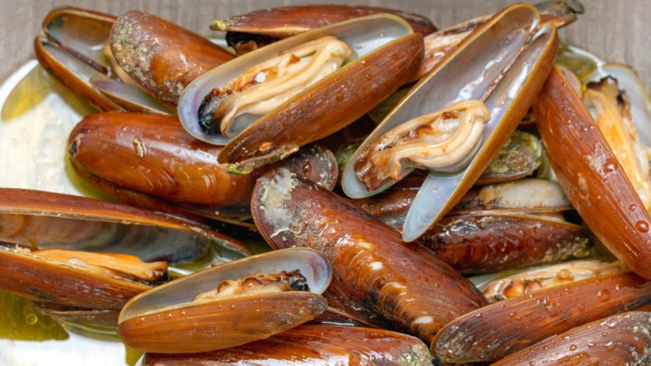 Commercio di datteri di mare.
