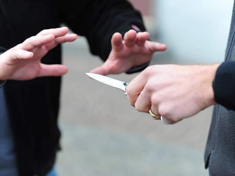 Ericina indagata per il delitto di omicidio aggravato dalla premeditazione e dalla convivenza della vittima per avere cagionato la morte del convivente, pugnalandolo con un coltello nella regione sottoclaveare sinistra e recidendogli i vasi sanguigni. Rigettato il ricorso in Cassazione.