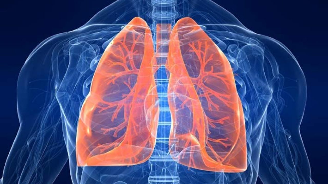 Per i decessi causati da mesotelioma pleurico la tesi del c.d. effetto acceleratore non è legge universale