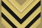 Millantando credito presso 3 colonnelli dell'esercito italiano si faceva consegn...