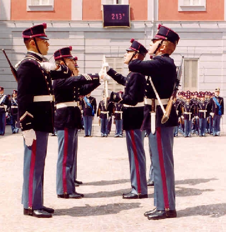 Insubordinazione militare. Il sindacato del giudice di legittimità deve essere v...