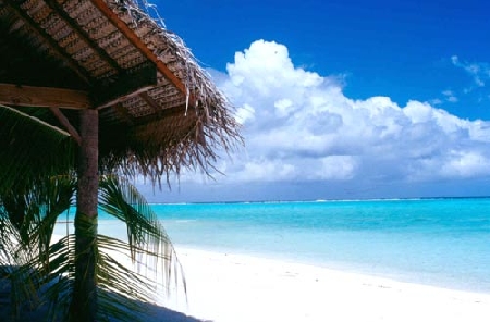 Deducibilità dei costi black list ammessa solo se il contribuente prova il vero ...