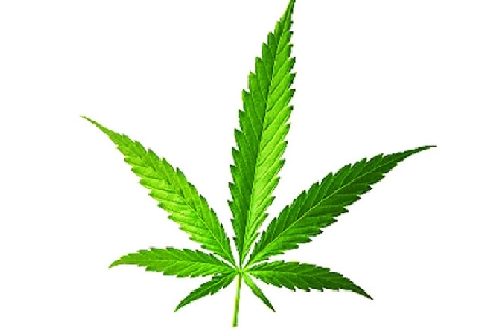 La marijuana non e' un medicinale. L'uso come profumatore di ambienti nuoce gravemente alla salute.