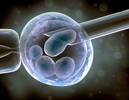 Bioetica: gli ovuli umani non fecondati, la cui divisione e il cui sviluppo ulteriore siano stati stimolati attraverso la partenogenesi, non sono compresi nella nozione di embrione umano ex art. 6 Direttiva 98/44/CE  finche' non siano capaci di svilupparsi in un essere umano e non siano stati geneticamente manipolati per acquisire siffatta capacita'.