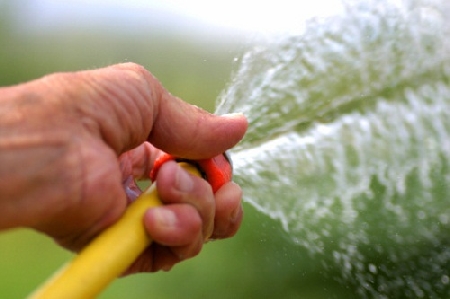 Un uomo bagna la vicina di casa con il tubo di gomma utilizza...