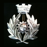 Esercito Italiano. Concorso per nomina diretta Corpo degli Ingegneri Esercito. S...