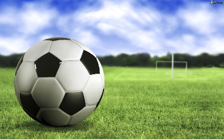 Un tifoso occupa il campo, interrompe e impedisce l’allenamento dei giocatori di una squadra: è condotta minacciosa e violenta. Si al Daspo.